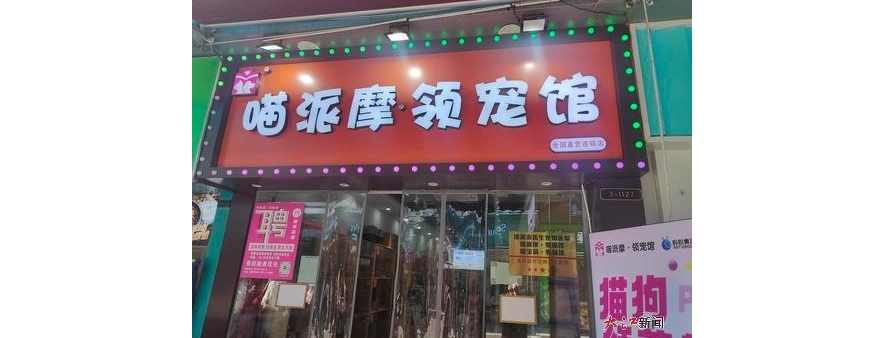 南昌一女子“免费领养”宠物猫 却签下合计9000元“购粮条约” ...