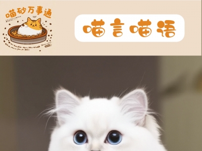 猫砂多久换❓倒多少❓保姆级教程来啦🐾