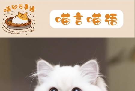 猫砂多久换❓倒多少❓保姆级教程来啦🐾