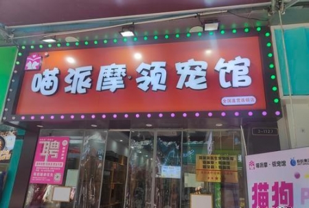 南昌一女子“免费领养”宠物猫 却签下合计9000元“购粮条约” ...