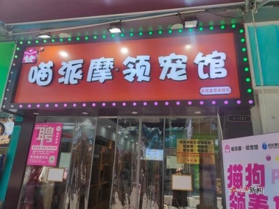 南昌一女子“免费领养”宠物猫 却签下合计9000元“购粮条约” ...